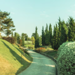 Как ландшафтный дизайн Алматы помогает создавать грамотную и долговечную среду