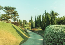 Виза в Японию: как открыть двери в страну восходящего солнца