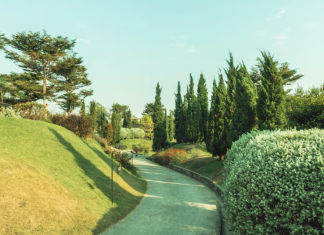 Виза в Японию: как открыть двери в страну восходящего солнца