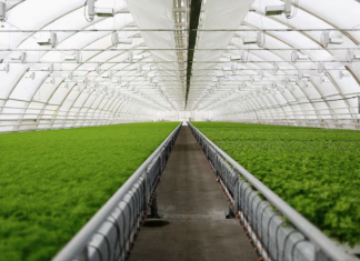 Промышленные и фермерские теплицы: как выбрать и где заказать