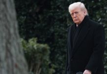 Трамп пообещал заняться вопросом создания истребителя шестого поколения