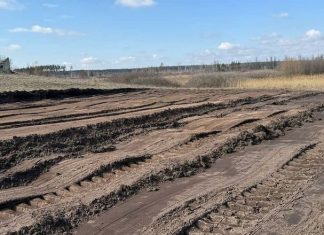 Ущерб от земляных работ у реки Усмань в Воронеже оценили в 11 млн