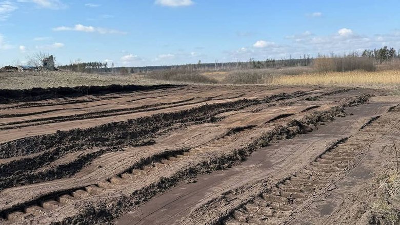 Ущерб от земляных работ у реки Усмань в Воронеже оценили в 11 млн