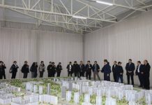 В Фергане появится свой «маленький Токио»: стартовал амбициозный проект Shogun City