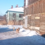 В Хабаровске снесут 200 аварийных домов в следующем году