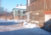 В Хабаровске снесут 200 аварийных домов в следующем году