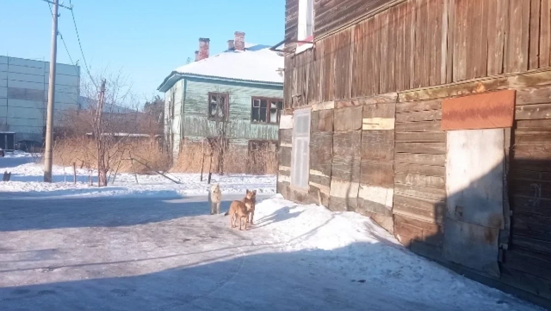 В Хабаровске снесут 200 аварийных домов в следующем году