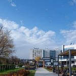 В Перми утвердили результаты скандального голосования