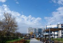 В Перми утвердили результаты скандального голосования