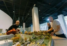 В Твери откроется «Волга-центр» с макетом Верхней Волги