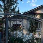 Больше частных домов стало появляться в Ленинградской области