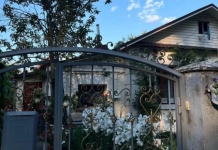 Больше частных домов стало появляться в Ленинградской области