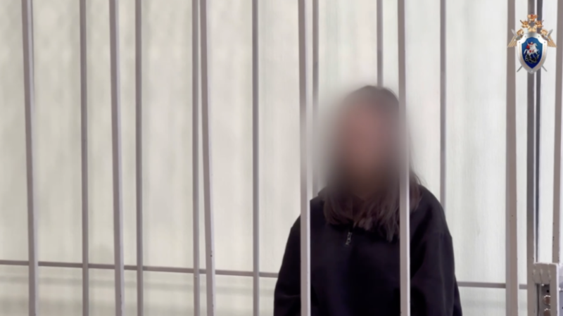 «Действовала под влиянием аферистов»: что известно о студентке, обманувшей 14-летнего сына бизнесмена из Красноярска