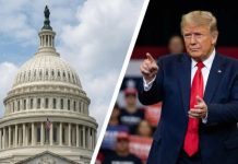 «Демпартия мечтает нанести удар»: чем грозит Соединённым Штатам частичный шатдаун