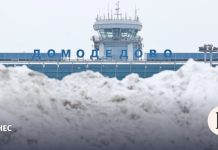 Дмитрий Каменщик опроверг иностранное влияние на изъятый у него аэропорт