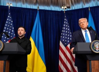 «Глубокую личную антипатию уже невозможно скрывать»: почему Зеленский начал ставить условия для встречи с Трампом