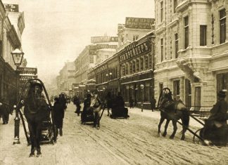 «Лошадь для России — это не гороскоп, а культурный код»: что значит символ 2026 года по восточному календарю