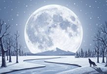 Полнолуние в январе 2026-го: знаки, рекомендации астрологов