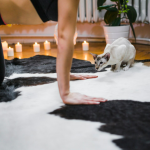 Химчистка ковров Люкс: идеальный уход за вашим домом