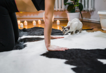 Химчистка ковров Люкс: идеальный уход за вашим домом