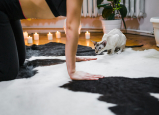 Химчистка ковров Люкс: идеальный уход за вашим домом