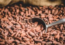 Сладкие надежды: как резкое снижение мировых цен на какао может отразиться на стоимости шоколада в России