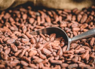 Сладкие надежды: как резкое снижение мировых цен на какао может отразиться на стоимости шоколада в России