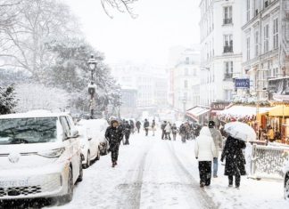 Снежный коллапс: в Венгрии заявили, что суровая зима поставила Западную Европу на колени
