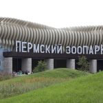 Весной в Перми начнут строить акватеррариум
