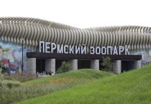 Весной в Перми начнут строить акватеррариум