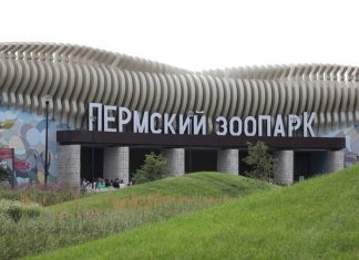 Весной в Перми начнут строить акватеррариум