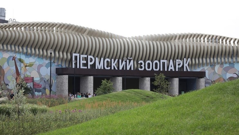 Весной в Перми начнут строить акватеррариум