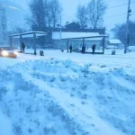 Власти Москвы просят автомобилистов воздержаться от поездок на личных автомобилях