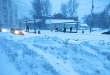 Власти Москвы просят автомобилистов воздержаться от поездок на личных автомобилях