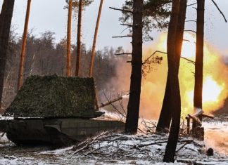 ВС России освободили Новопавловку в ДНР и Павловку в Запорожской области