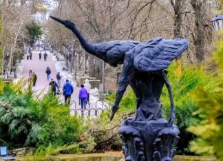 Глава Ростовской области запретил строительство апарт-отеля в парке Горького