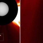 «Редкий шум или реальный физический объект?»: что известно о загадочной «птице» рядом с Солнцем