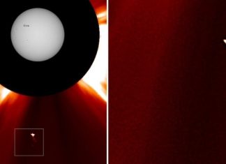 «Редкий шум или реальный физический объект?»: что известно о загадочной «птице» рядом с Солнцем