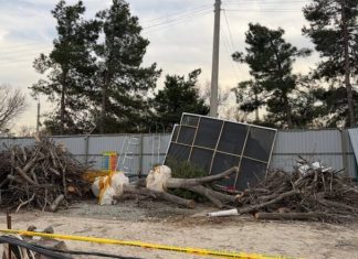 Снова под топор: рядом с Национальным парком вырубили 12 деревьев ради «роскошного» проекта