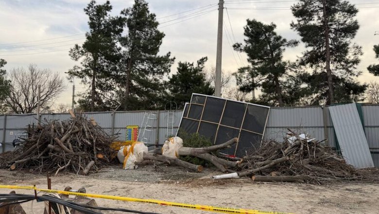 Снова под топор: рядом с Национальным парком вырубили 12 деревьев ради «роскошного» проекта