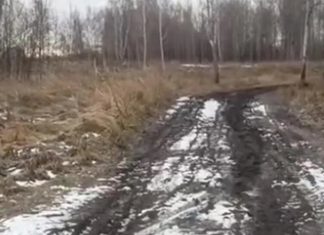 В Челябинской области починят дорогу, которую самостоятельно отсыпал участник СВО