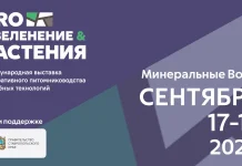 В Минеральных Водах впервые пройдут выставки PRO ОЗЕЛЕНЕНИЕ & РАСТЕНИЯ 2026