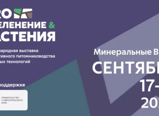 В Минеральных Водах впервые пройдут выставки PRO ОЗЕЛЕНЕНИЕ & РАСТЕНИЯ 2026