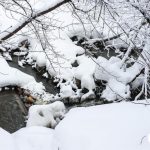 В Новосибирске в пойме реки Каменки построят коллектор за 10 миллионов