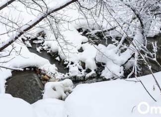 В Новосибирске в пойме реки Каменки построят коллектор за 10 миллионов