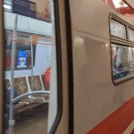 За год Петербург получил более 720 единиц общественного транспорта