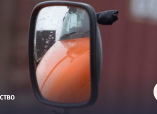 Водители смогут заранее сообщать ФСБ о перевозимых через госграницу грузах