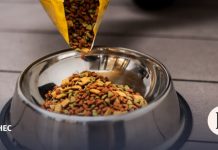 Экспорт российских кормов для домашних животных достиг рекорда