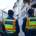 «Деньги украинской военной мафии»: что известно о задержании в Венгрии семерых украинцев с валютой и золотом