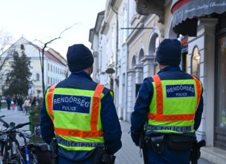 «Деньги украинской военной мафии»: что известно о задержании в Венгрии семерых украинцев с валютой и золотом